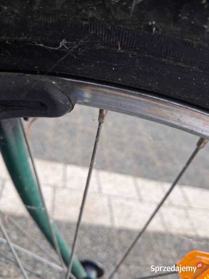 Rower męski wielokolorowy Kamień Pomorski