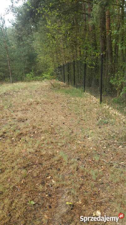 działka budowlana 4340m2 Przykory gmina Pniewy mazowieckie Przykory