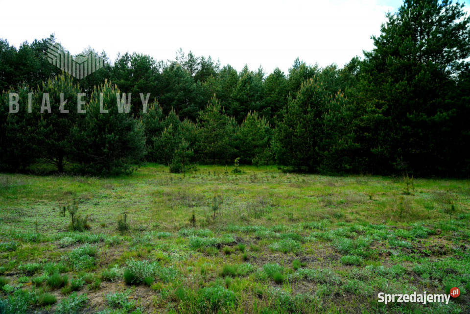 sprzedaży działki Nowe Borsuki 1200m2