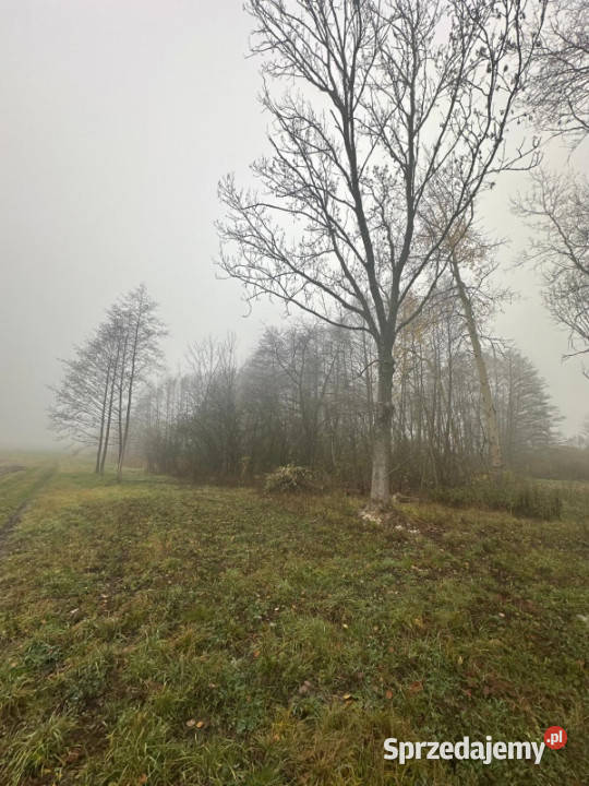 Działka na sprzedaż Bystrzanów Królewska mazowieckie