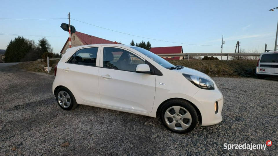 Kia Picanto Zadbane miejskie autko III 2017 ABS Kamienna Góra sprzedam