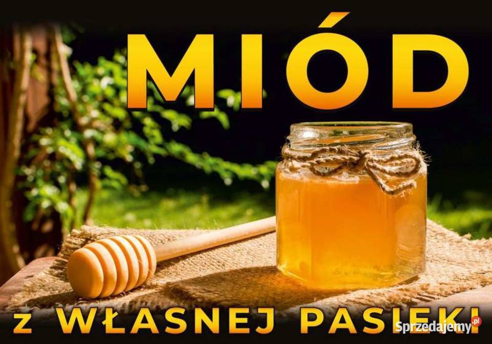 ODKŁADY PSZCZELE ROJE Pszczele RAMKA Andrychów sprzedam