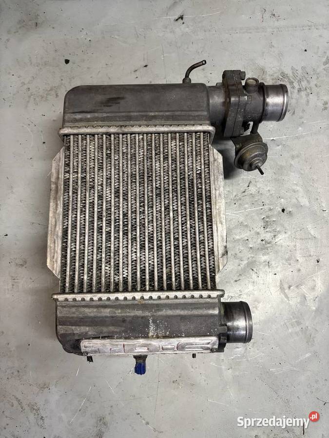 intercooler nissan patrol y61 28td okazja Jelcz-Laskowice