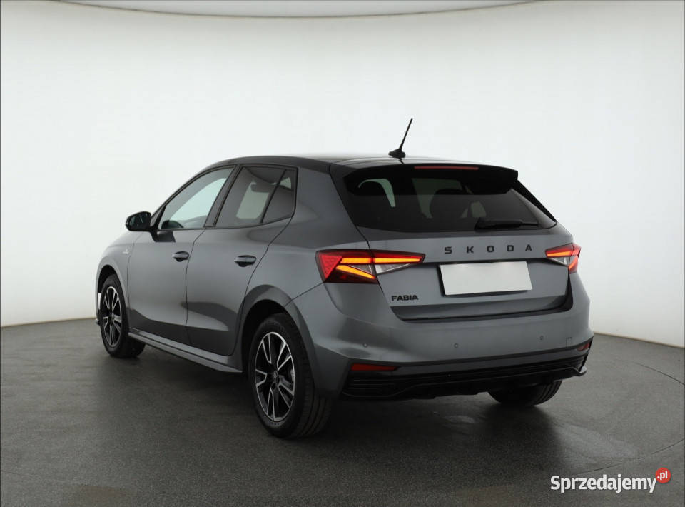 Skoda Fabia 10 TSI klimatyzacja Fabia mazowieckie Piaseczno