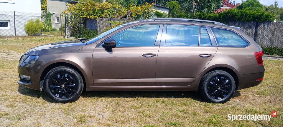 Skoda Octavia 16 TDI 115 2019 Mega Auto Zarejestrowany w Polsce Radomsko