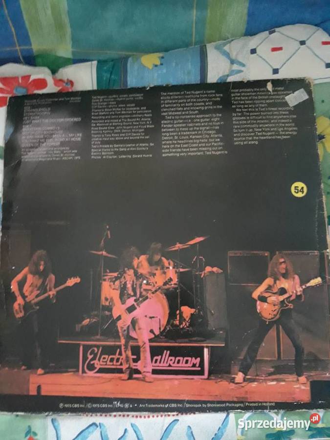 TED NUGENT Ted Nugent debiutancki album Płyty i kasety Rzeszów sprzedam