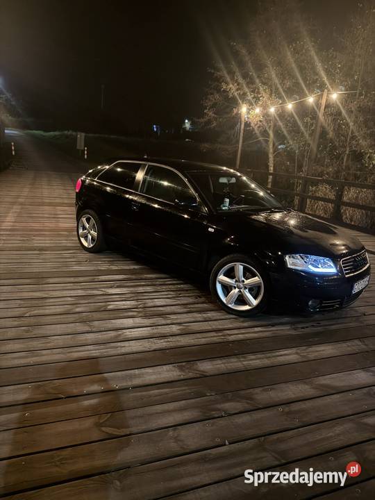 Audi A3 8P 20 FSI 2004 Czarna 6 biegów LED Rok produkcji 2004 pomorskie Opalenie