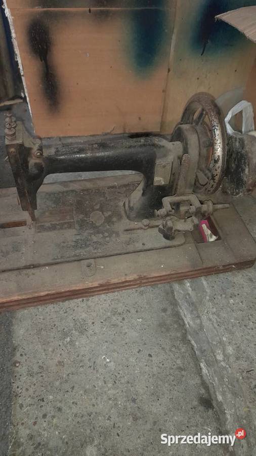 Sprzedam starocia Korsze