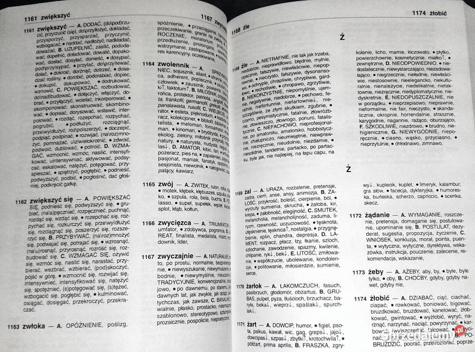 Słownik synonimów A Dąbrówka E Geller R Turczyn Pozostałe Chełm