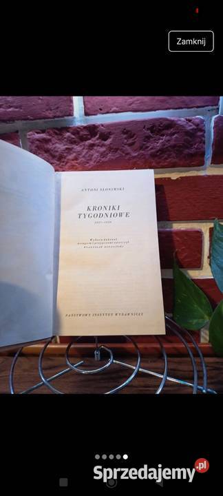 antoni słonimski kroniki tygodniowe 19271939