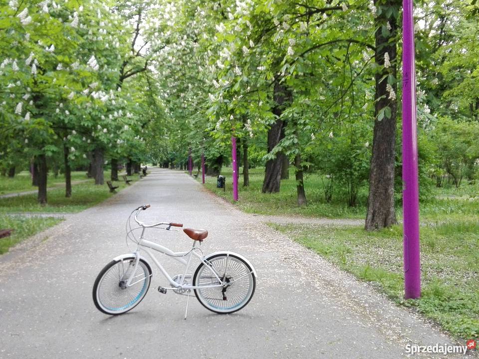 Rower miejski beach cruiser Miejskie Wrocław