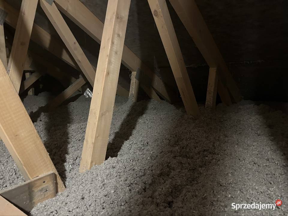 Wełna celulozowa Wolfinger 1000 Kraków