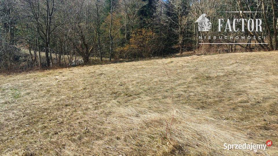 Widokowa działka budowlanorolna 1846 ara Bieśnik małopolskie sprzedam