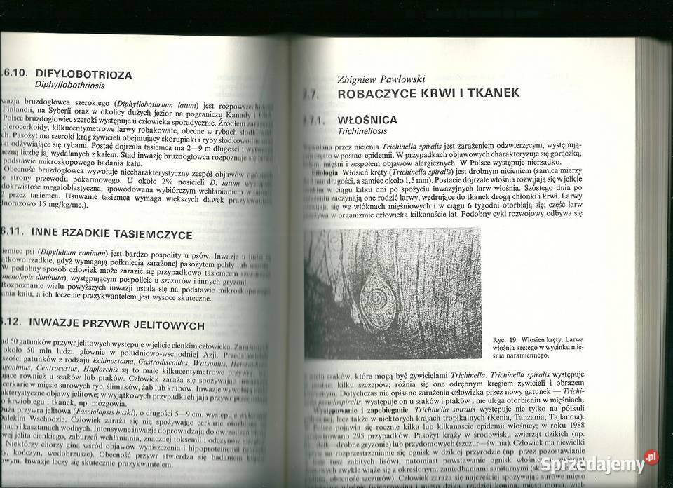 Zarys kliniki chorób zakaźnych podręcznik medycyna, nauki medyczne Książki naukowe i popularnonaukowe Łódź