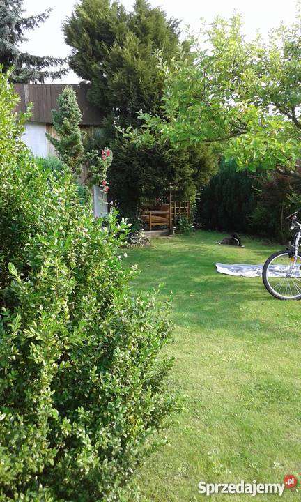 Działka ROD Strzeszyn