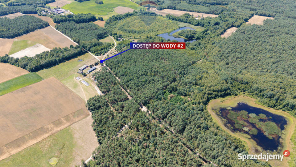 Duża działka z lasem i oczkiem wodnym Sprzedaż