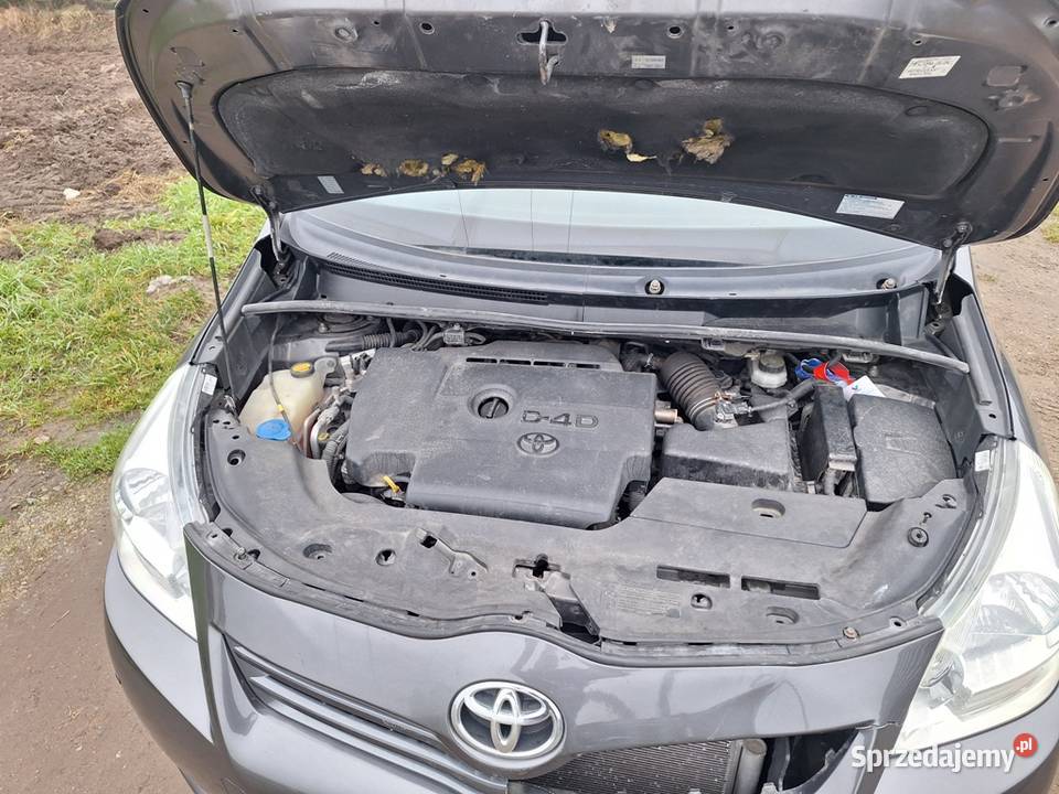 Toyota Corolla Verso 2012 20 D4D Salon Polska Grudziądz