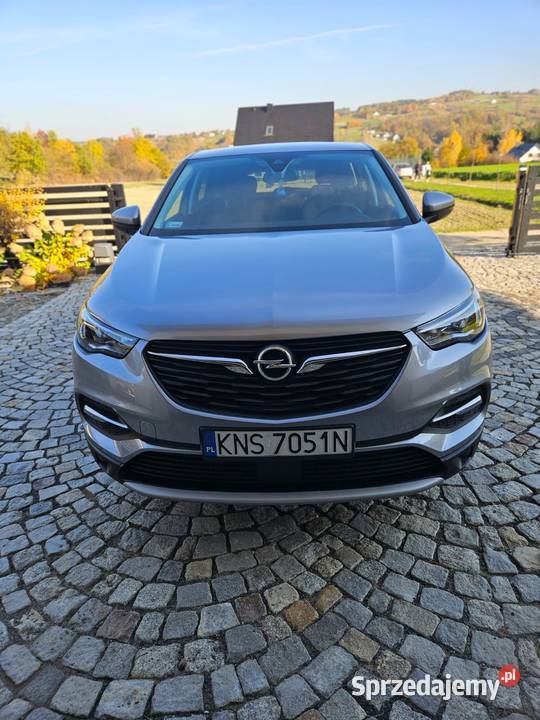 Opel Grandland X Super stan 70000km Krynica-Zdrój