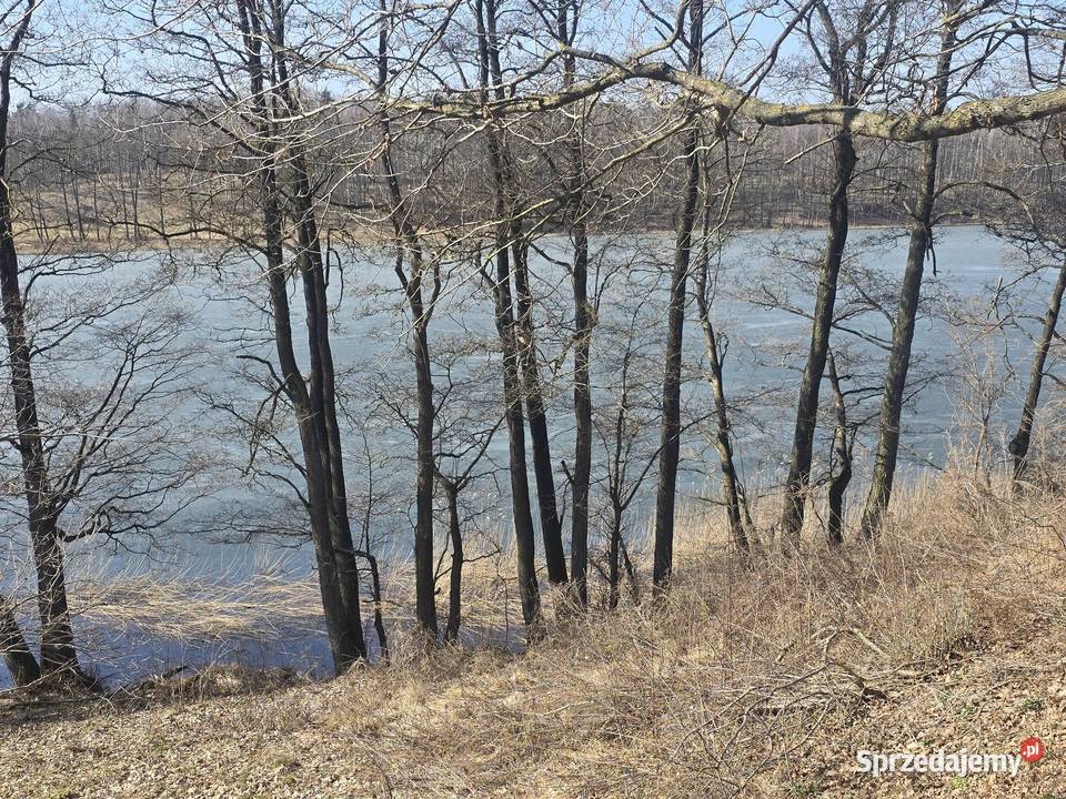 Budowlana Jezioro Dąbrowa sprzedam
