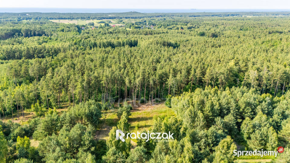 Działka 2164m2 Sasino Stara Cegielnia 44m