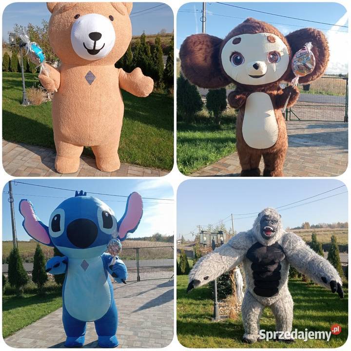 Żywa maskotka Biały Miś Luksus Panda Pluszowy Zawiercie