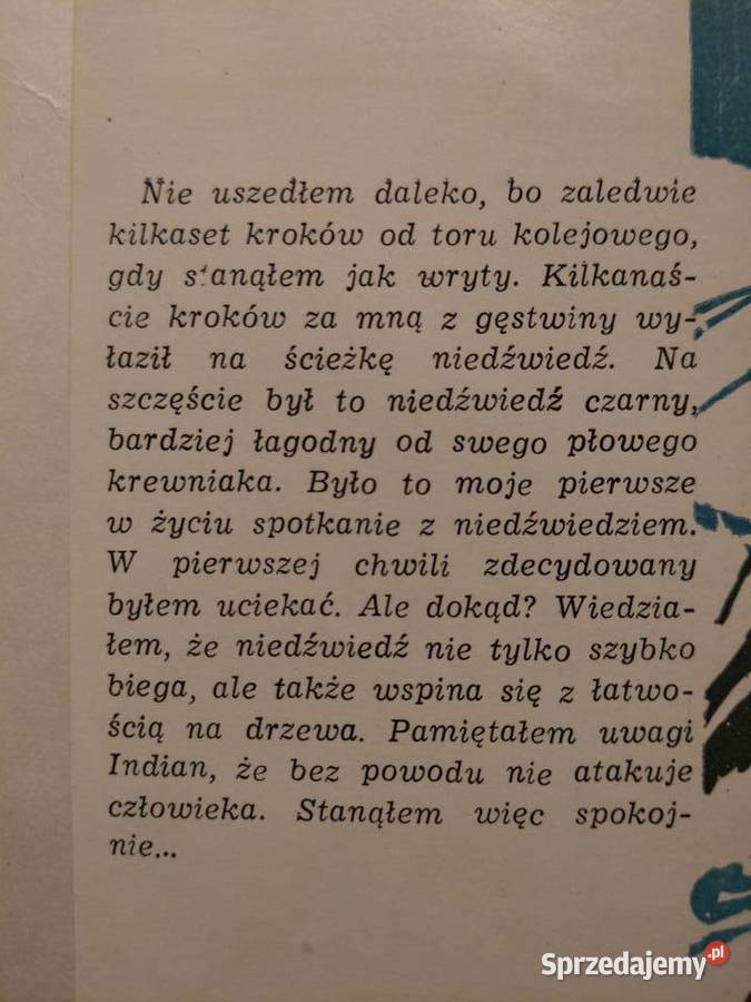 Alpinizm W górach Ameryki Północnej miękka pomorskie Gdańsk