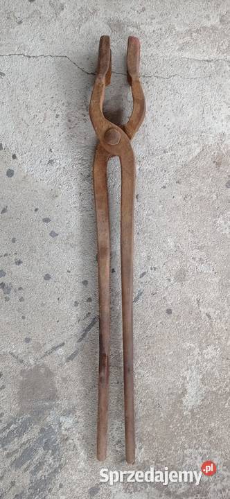 Kleszcze kowalskie wielkopolskie Krotoszyn sprzedam