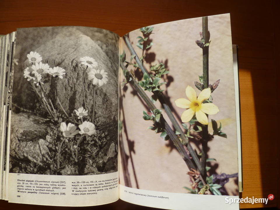 Wielki atlas roślin FANovak małopolskie Kraków sprzedam