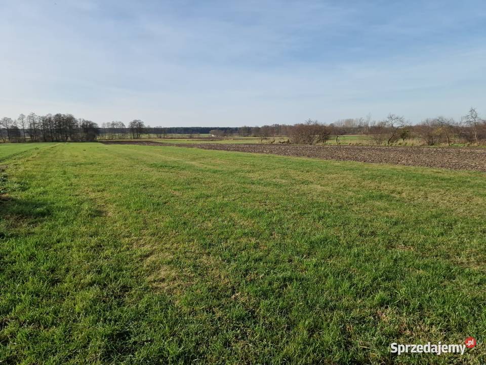Działki rolne klasy IVV Biskupice gm Grodziec Biskupie sprzedam