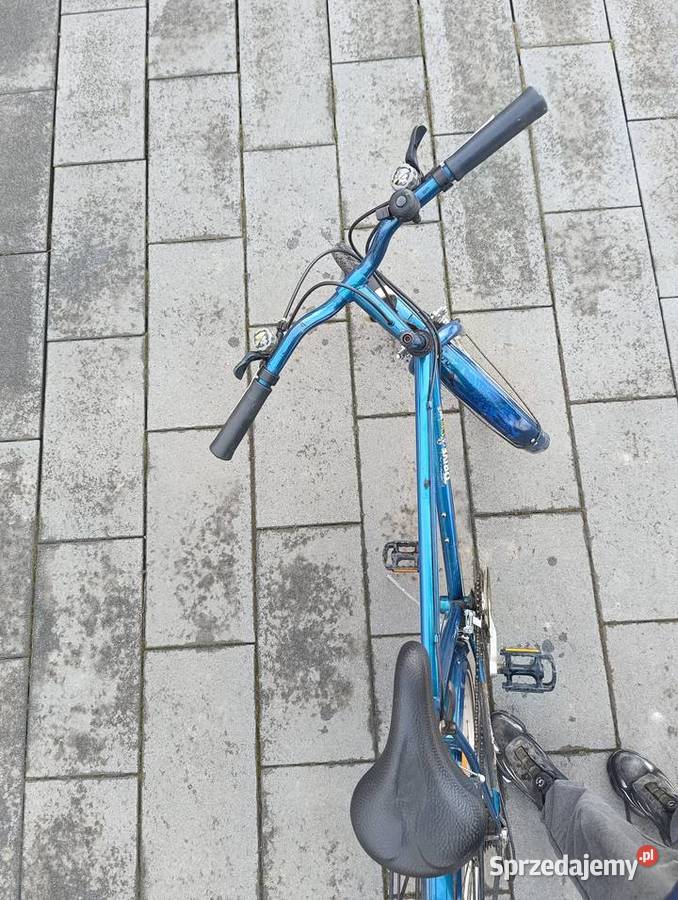 Rower miejski trekkingowy 28 bagażnik błotniki Pleśna