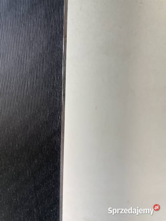 Narty ELAN SLR RACE 170 R134 11866104 Jelcz-Laskowice