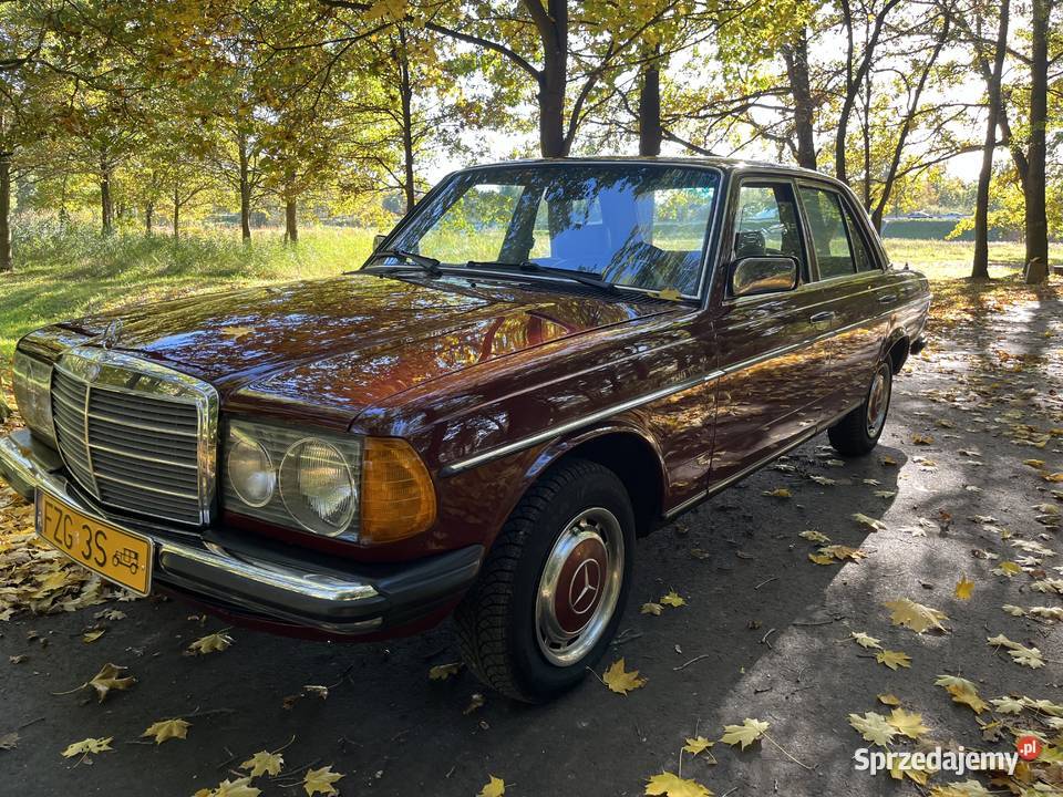 MercedesBenz W123 nieuszkodzony lubuskie Żagań