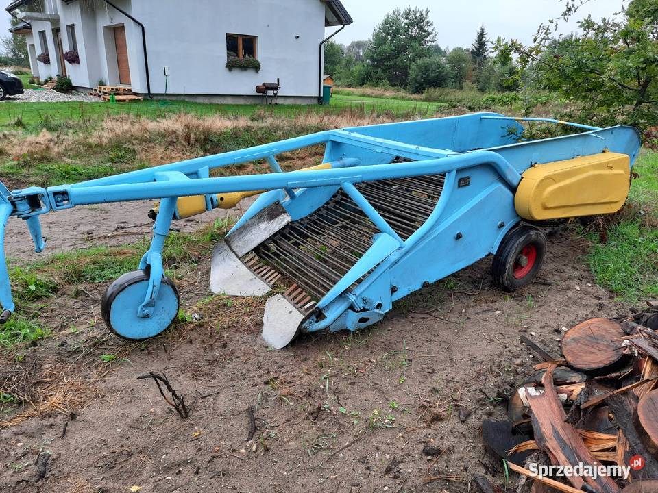 Kopaczka do ziemniaków elewatorowa Bucze