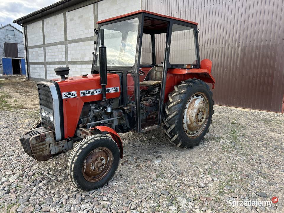 Massey Ferguson 255 Bodzanów
