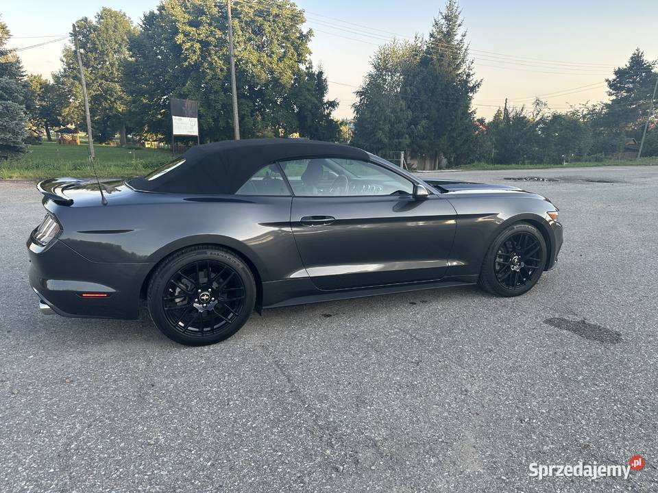 Mustang 37 V6 305 2016r benzyna Mustang Gorlice