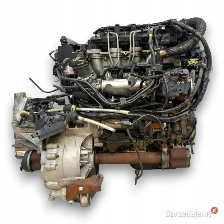 SILNIK KOMPLETNY G8DD Ford Focus II MK2 C C 16 Chełm sprzedam