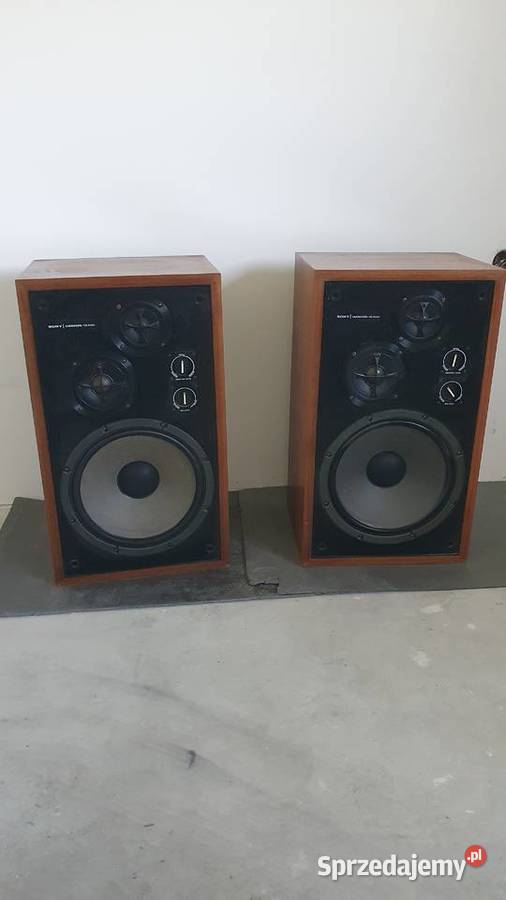Głośniki Sony ss5050 Ryczów