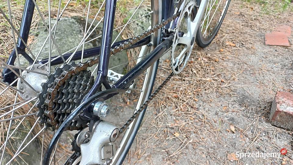Rower Szosowy Kolarka Retro Gazelle Vuelta Szosa Wołów