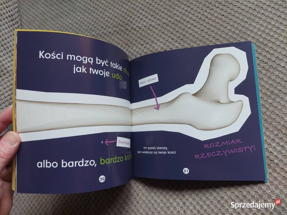 Twoje kości Becky Baines