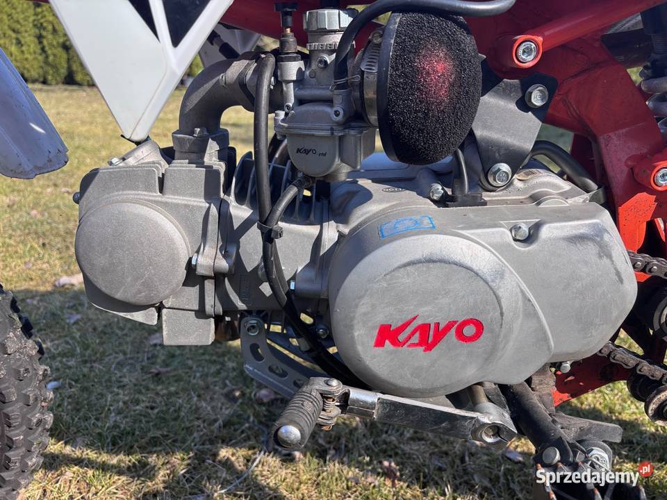 Pit Bike Kayo 125 TD Oława