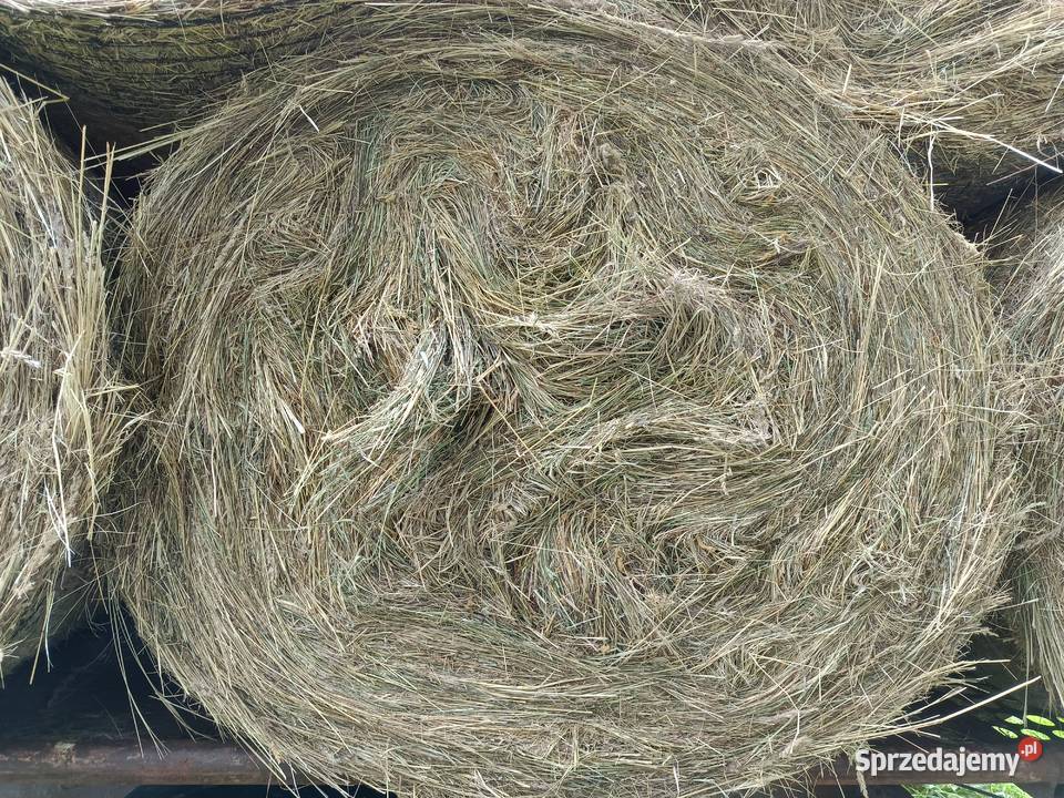 Siano słoma bele baloty dolnośląskie Zamienice