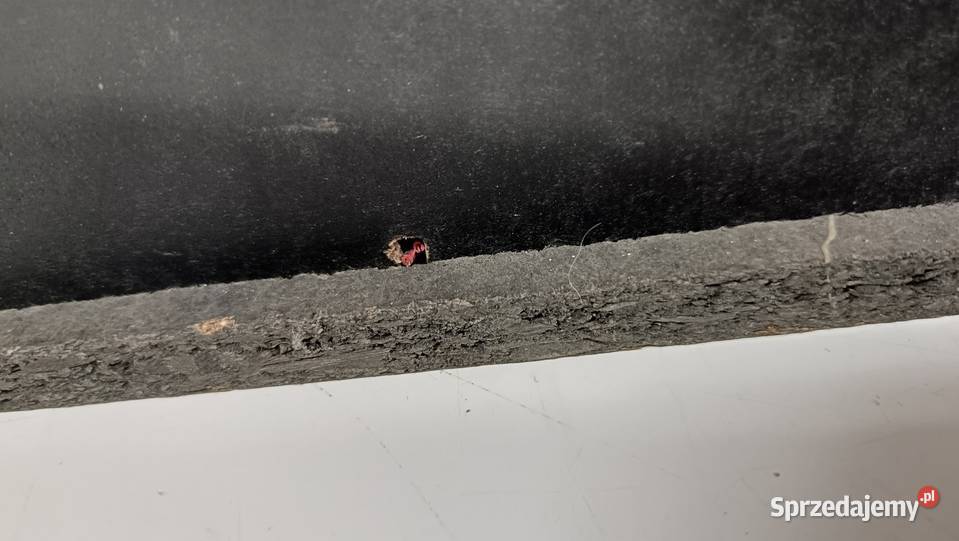 PHILIPS FWBC380 42 54 kolumny audio Poznań sprzedam