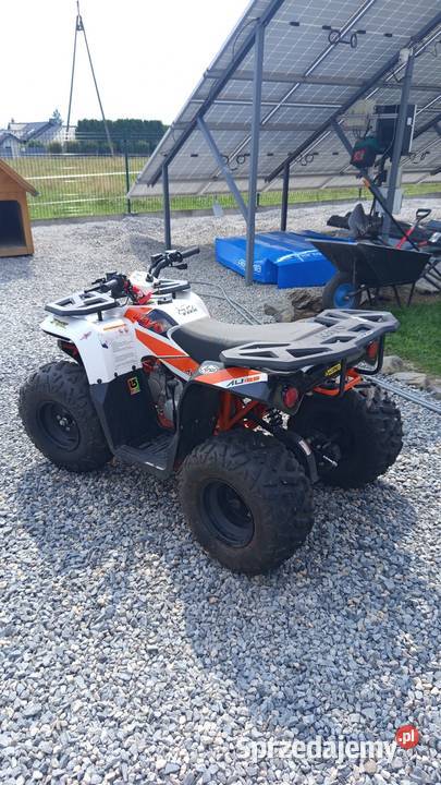 Quad KAYO au125 2024 Bielsko-Biała