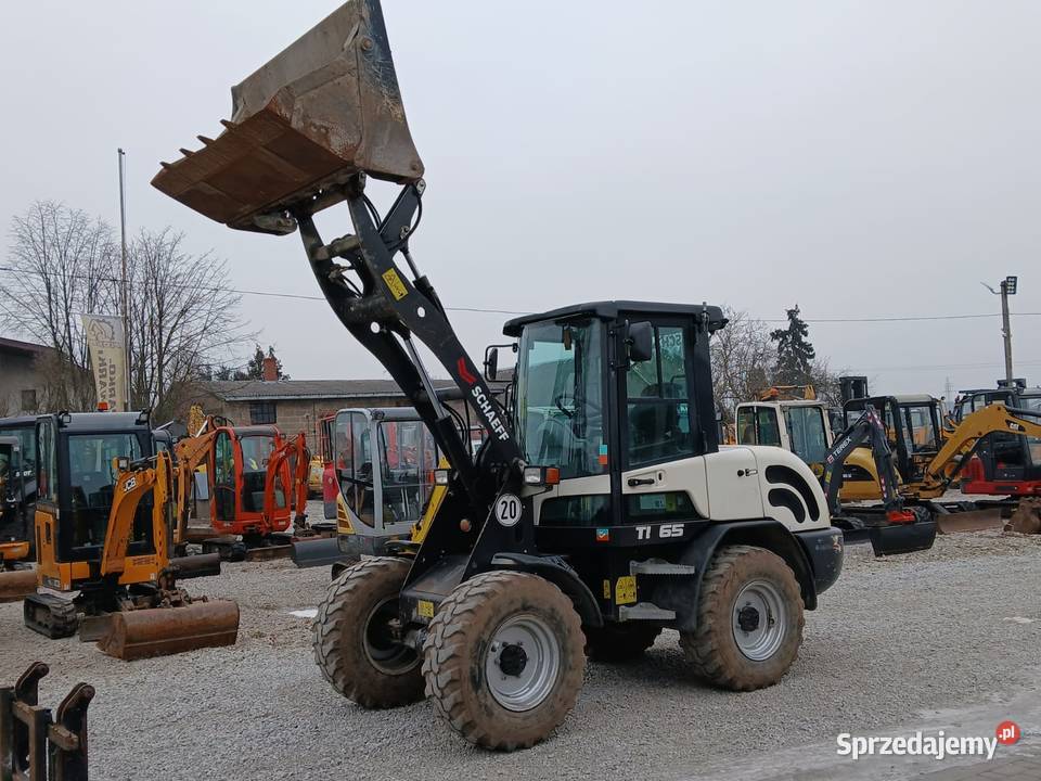 Schaeff TL65 SCHAEFF TL65 Ładowarka kołowa 2019 Złoczew