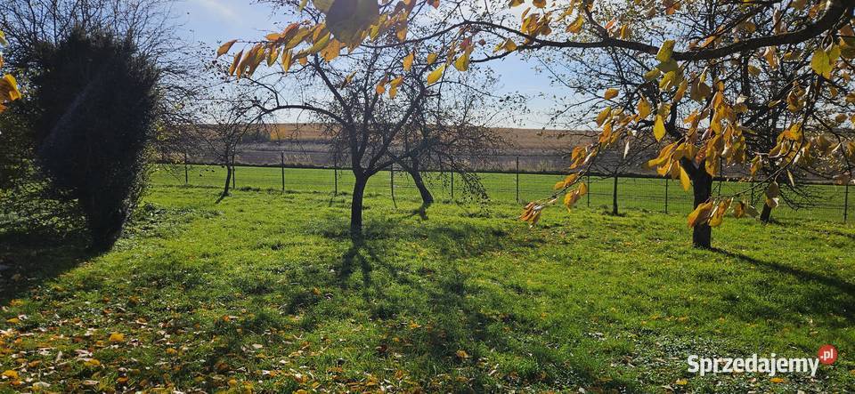 Siedlisko Dom murowane budynki pod uprawy