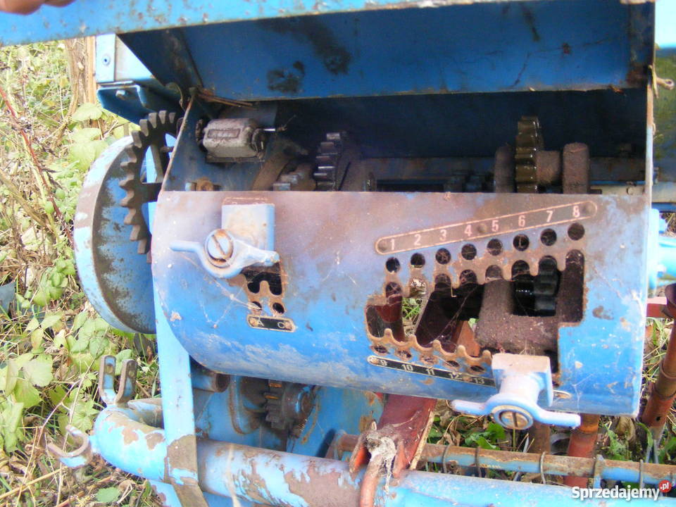 Siewnik STEGSTED Chełm