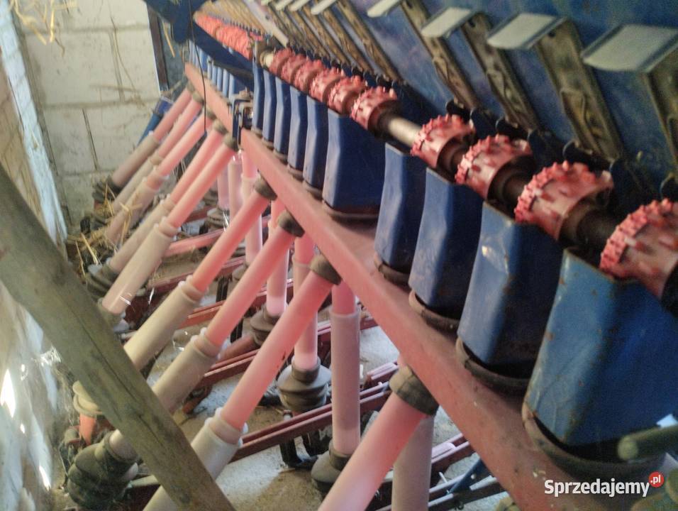 Siewnik drobny wyciew nieuszkodzony Opatów sprzedam