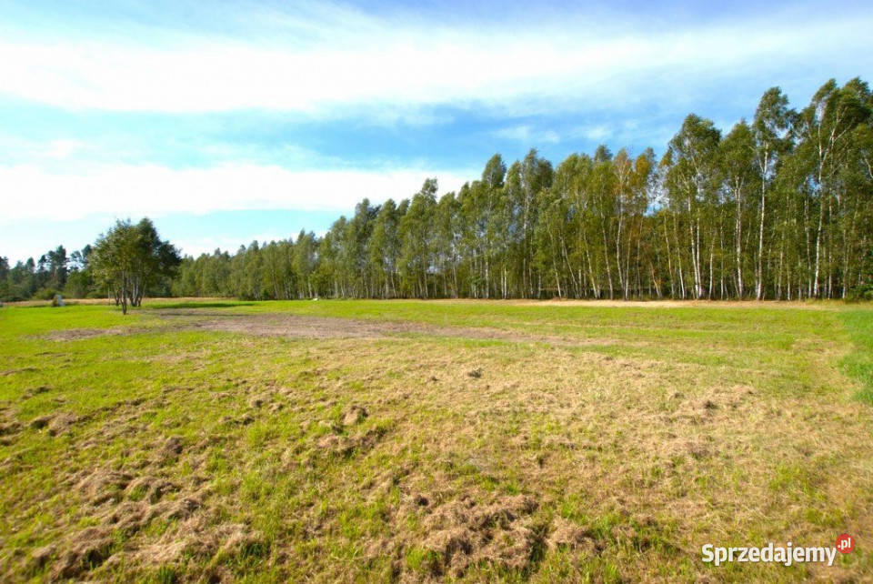 sprzedaży działki Daleszyce 1251m2 Sprzedaż świętokrzyskie