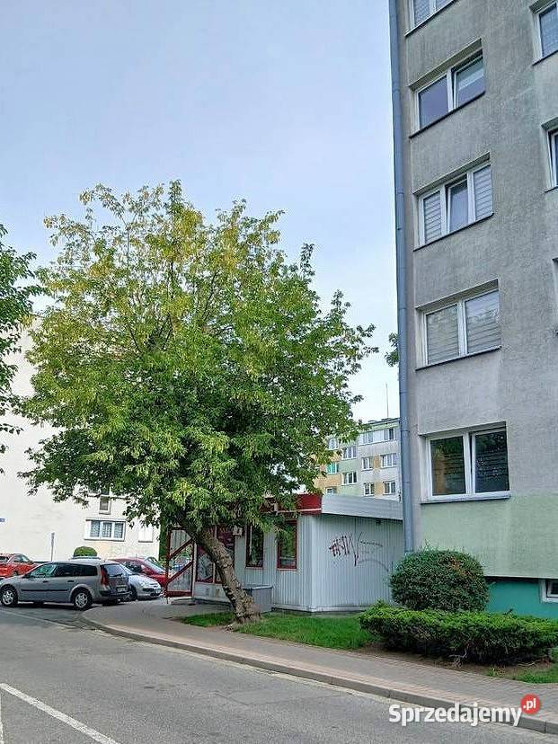 Wynajmę pawilon sklep handlowousługowy Oława ogrzewanie dolnośląskie