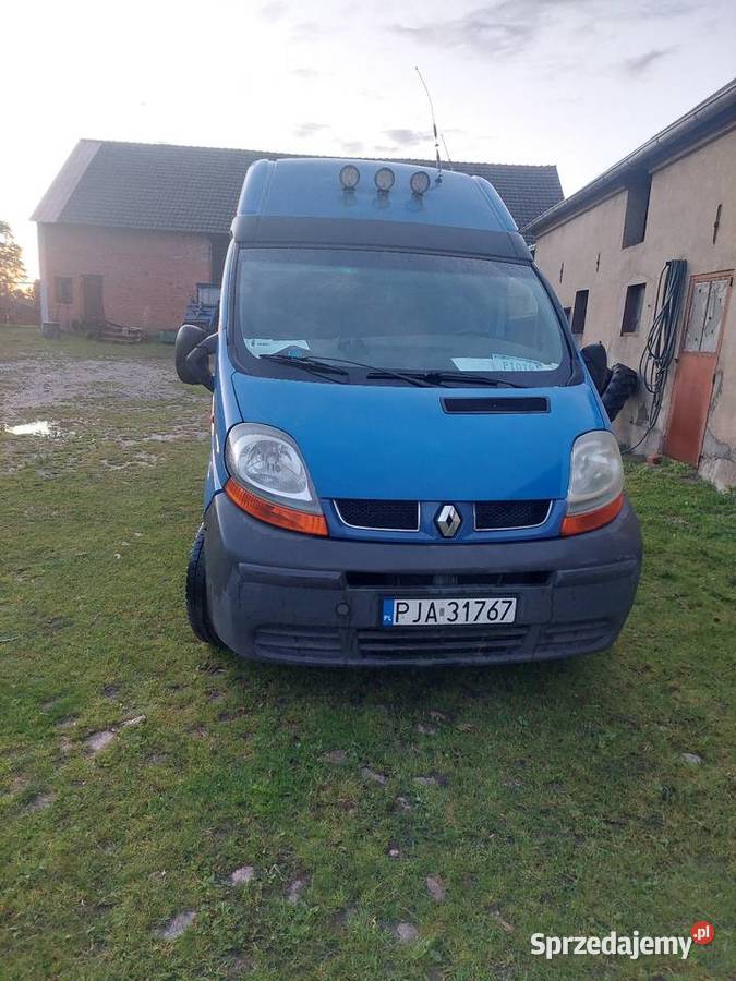 Reno trafik nieuszkodzony Krotoszyn sprzedam